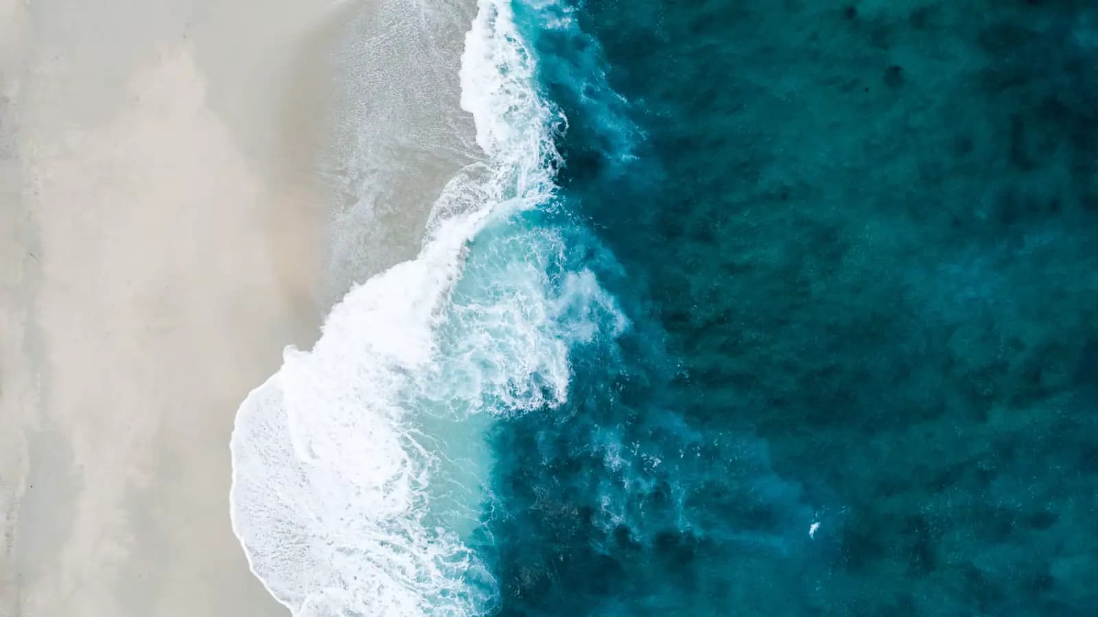 Heavy winter surf breaking across the mouth of a bay between two lava headlands