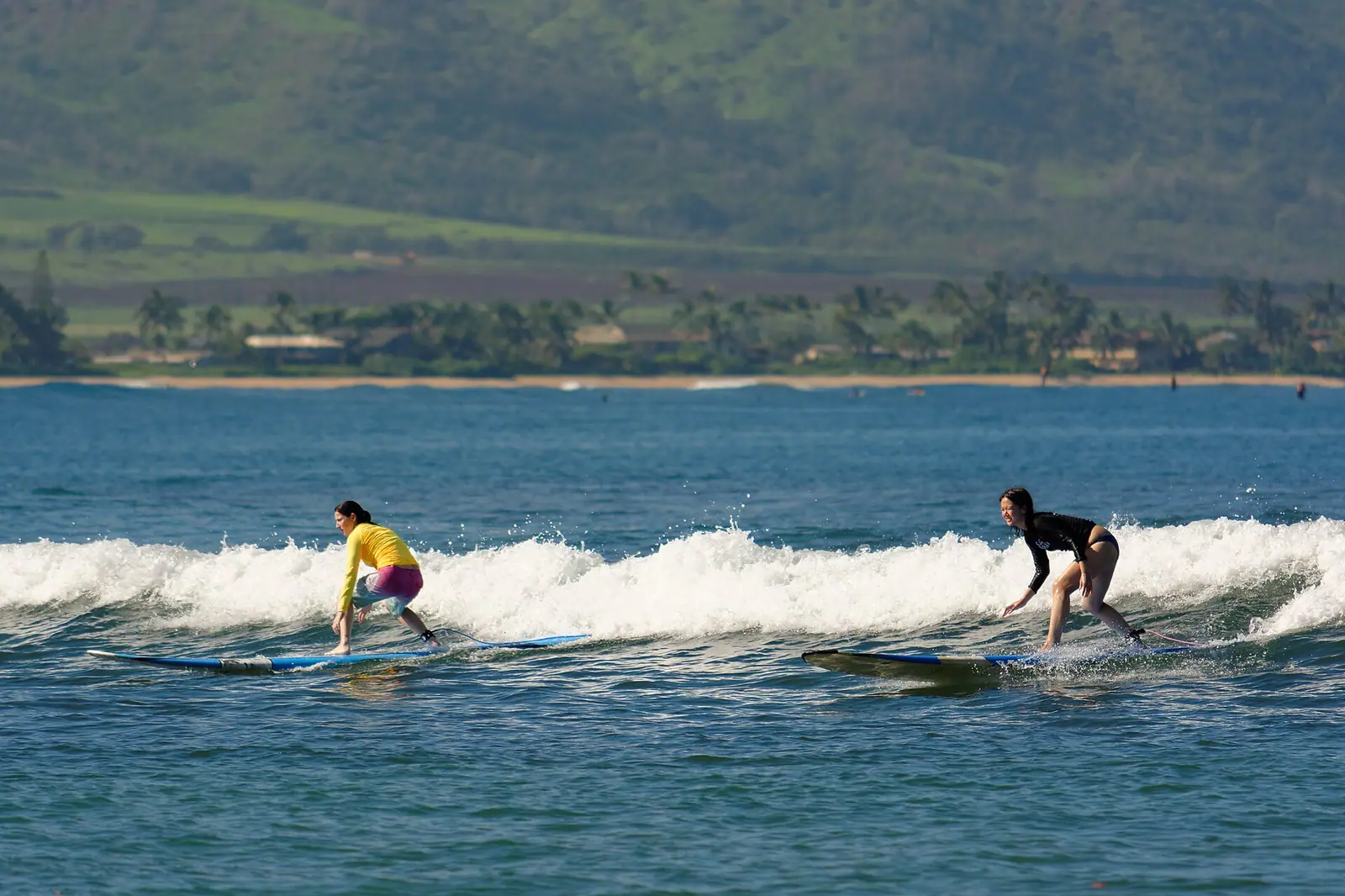 Calm shallow water over sand inside a sheltering reef on a wide bay