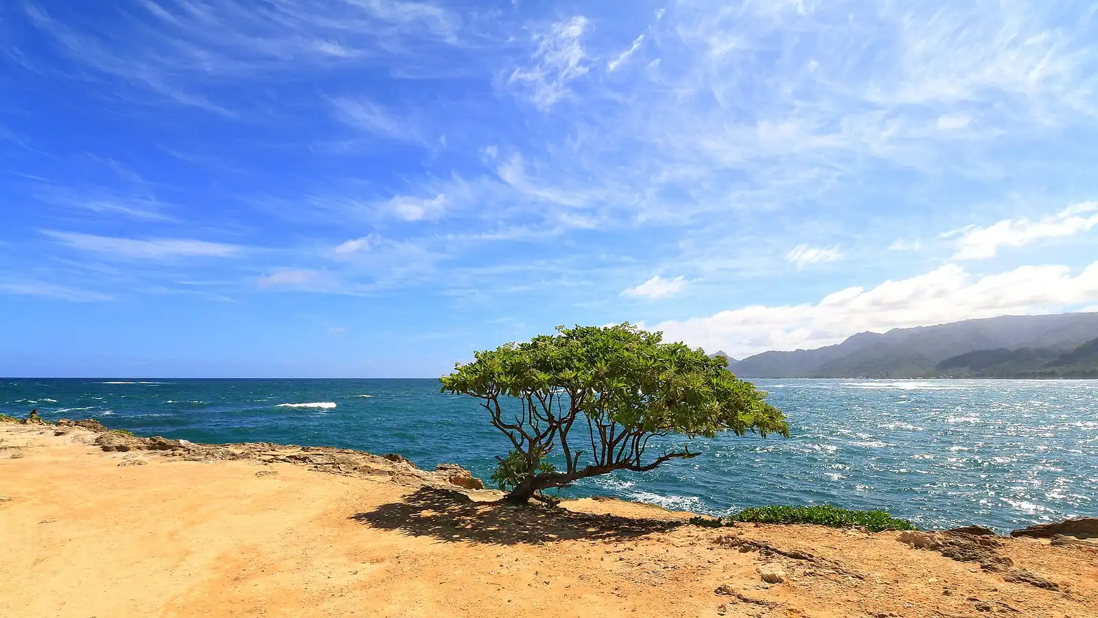A narrow rocky headland jutting into blue ocean with a small holed islet offshore
