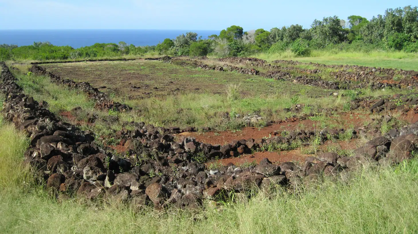 The low stacked stone walls of Puʻu o Mahuka Heiau laid out on open ground above the coast