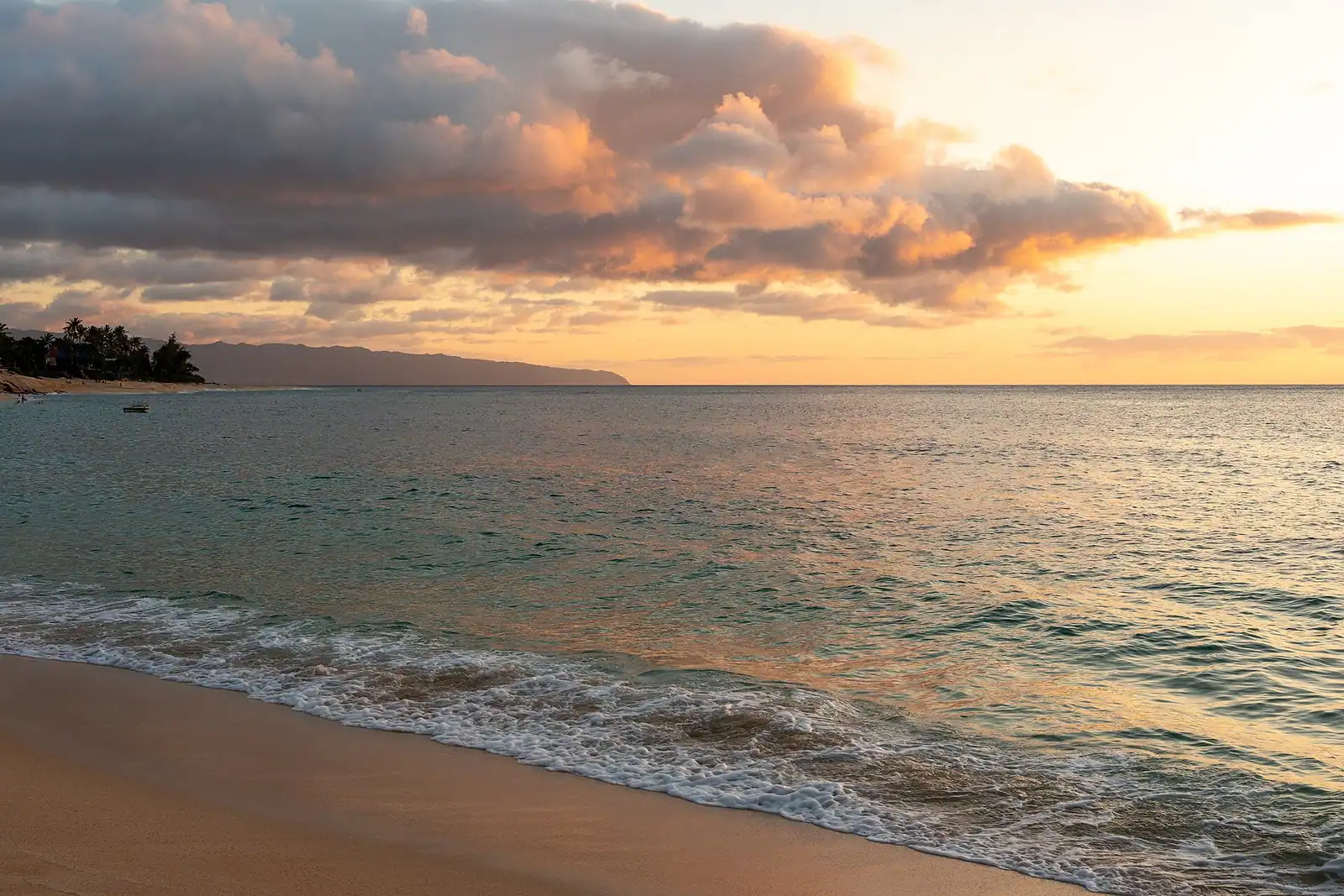 A wide sandy beach with large surf breaking offshore and ironwood trees along the back of the sand