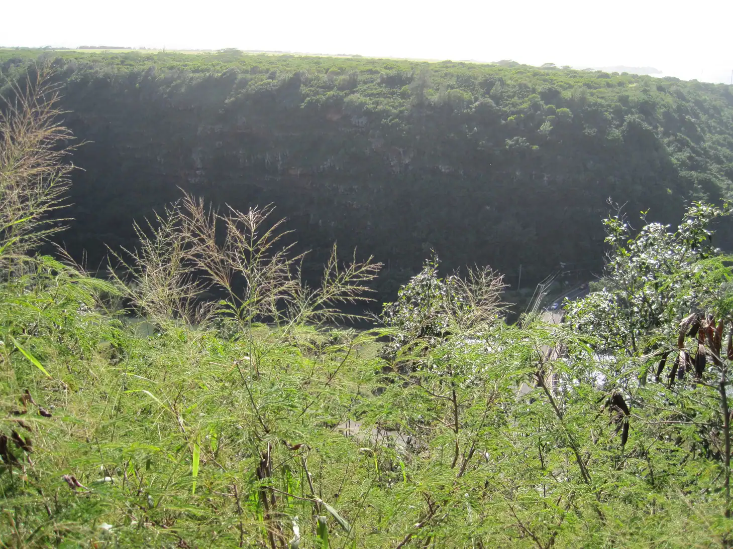 A waterfall dropping into a deep green pool at the head of a forested valley